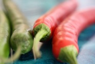 Natascha van der Pluim, Ökotrophologin, vollwertigen Ernährung